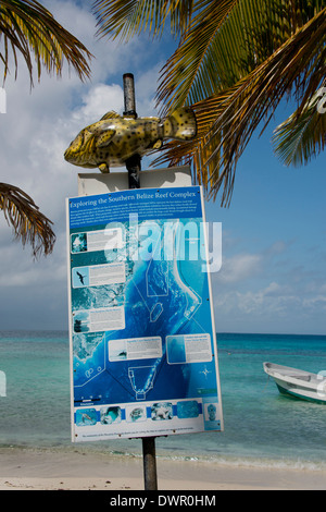 Belize, Karibik, Stann Creek District in der Nähe von Placencia. Laughing Bird Caye Nationalpark befindet sich auf das Belize Barrier Reef. Stockfoto