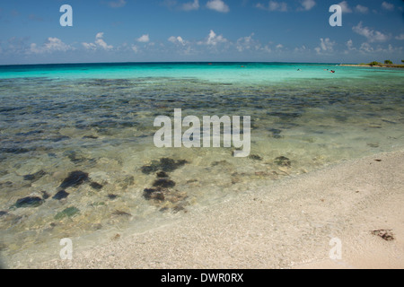 Belize, Karibik, Stann Creek District in der Nähe von Placencia. Laughing Bird Caye Nationalpark. Stockfoto