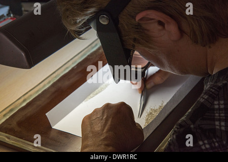 Jakutischen Dimonds Auswahl. Barnaul Altai Krai Russland Sibirien Asien Stockfoto