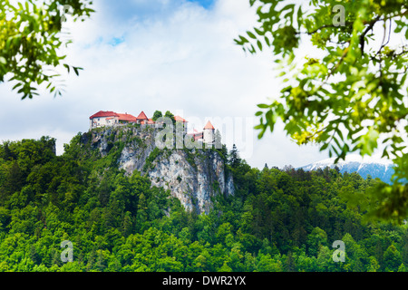 Bled Burg auf der Klippe Hochgebirge, Slowenien Stockfoto