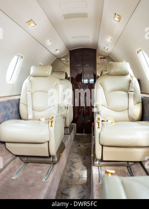 Ledersitze Jet Flugzeug Stockfoto