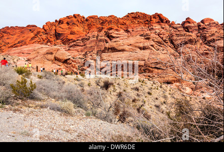 Naturschutz Gebiet der Red Rock Canyon in Nevada, USA Amerika, Spielplatz, Wandern und Klettern Spaß für die ganze Familie Stockfoto