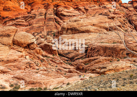 Naturschutz Gebiet der Red Rock Canyon in Nevada, USA Amerika, Spielplatz, Wandern und Klettern Spaß für die ganze Familie Stockfoto