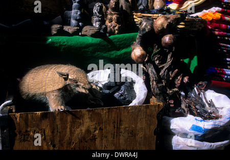 Behaarte Armadillo und Lama-Föten und Amulette in den Mercado De La Hechiceria (Zauberei Markt). La Paz. Bolivien. Stockfoto