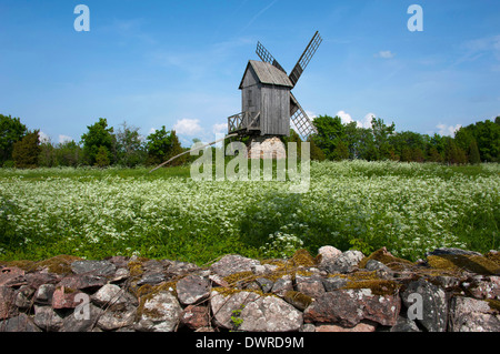 Windmühle, Einwohner Stockfoto