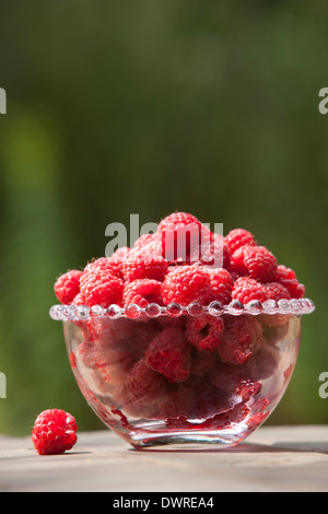 Himbeeren in eine Glasschüssel Stockfoto