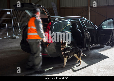 Auto gesucht für Sprengstoff und Drogen vom Handler mit Sprengstoff-Detektion Hund von Securitas K9 Explosive Detection Team Stockfoto