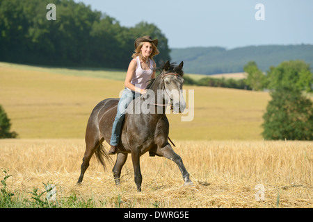 Junge Reiter ohne Sattel auf einem Connemara Pony in einem Stoppelfeld Trab Stockfoto