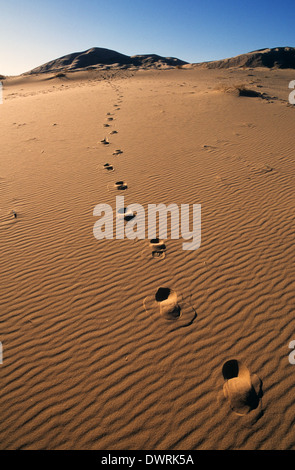 Elk248-2704v Kalifornien, Mojave National Preserve, Kelso Dünen, Fußabdrücke Stockfoto