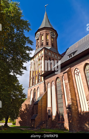 Königsberger Dom - gotischer Tempel aus dem 14. Jahrhundert. Kaliningrad (bis 1946 Königsberg), Russland Stockfoto