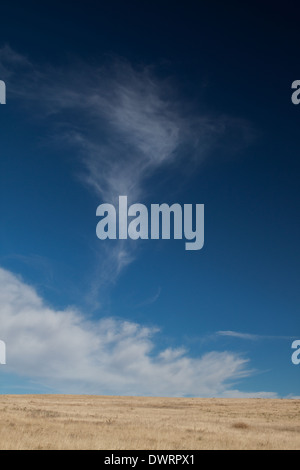 Cirrus und Cumulus Wolken über der Prärie Stockfoto