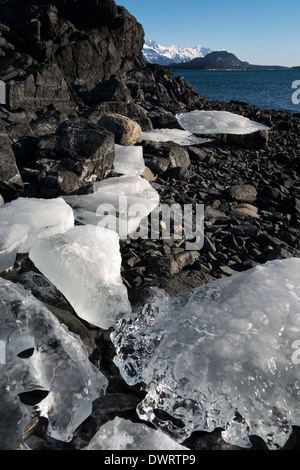 Große Eisbrocken an einem Strand in Southeast Alaska an einem sonnigen Tag. Stockfoto