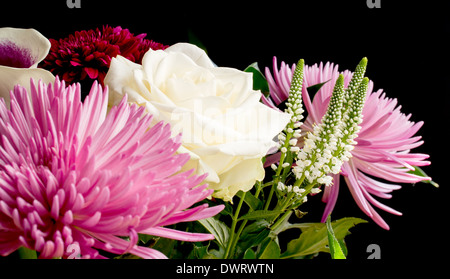 Gemischter Blumenstrauß hautnah Stockfoto