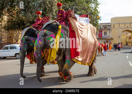 Jaipur, Rajasthan, Indien. Elefanten bewegen einrasten ein Hochzeitszug zu führen. Stockfoto