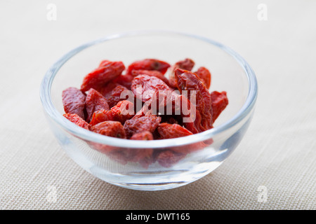 Wolfberry Stockfoto