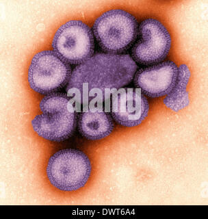 Influenza Virus tem Stockfoto