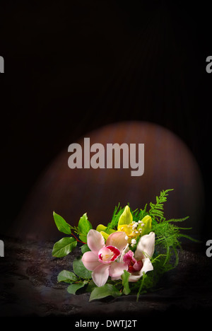 Komposition mit Orchideenblüten auf dunklem Hintergrund Stockfoto