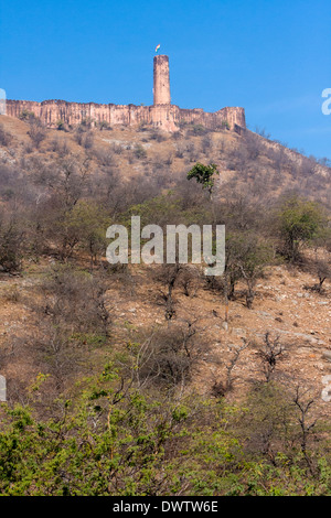 Jaigarh Fort, in der Nähe von Jaipur, Rajasthan, Indien. Stockfoto