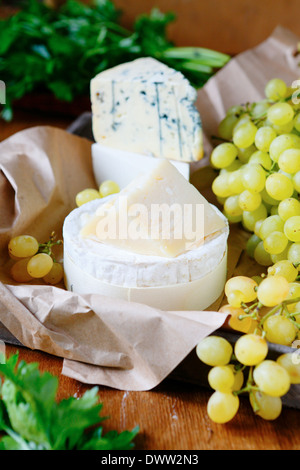 Ziegenkäse, Parmesan, Brie und Camembert mit Trauben, Essen Nahaufnahme Stockfoto