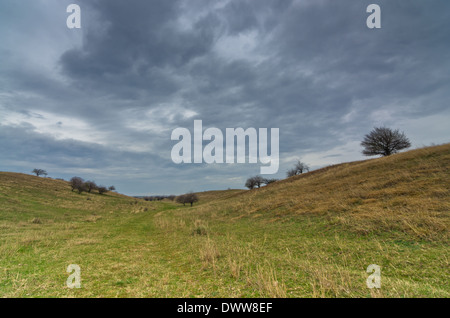 Dunkle Wolken über der Prärie-Pfad, umgeben von ein kleinen Hügel, Dünen und seltene Vegetation Stockfoto