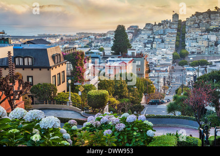 San Francisco am frühen Morgen Blick von oben auf die Lombard Street Stockfoto