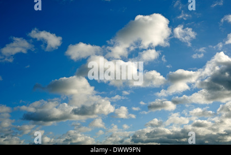 BLAUER HIMMEL, WEIßE WOLKEN Stockfoto