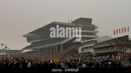 Cheltenham, Vereinigtes Königreich. 13. März 2014. Atmosphäre-Aufnahmen beim Cheltenham Gold Cup Festival 2014, Tag 3, St Patricks Thursday Sitzung. Bildnachweis: Jules Annan/Alamy Live News Stockfoto