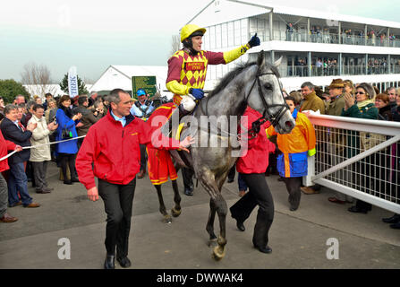 Cheltenham, Vereinigtes Königreich. 13. März 2014. Tom Scudamore feiert gewinnen die Ryanair Chase auf Dynaste beim Cheltenham Gold Cup Festival 2014, Tag 3, St Patricks Thursday Sitzung. Bildnachweis: Jules Annan/Alamy Live News Stockfoto