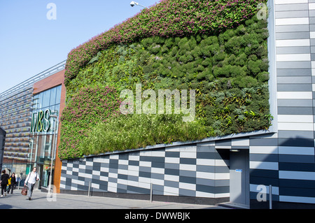 Lebende Wand auf Marken und Spencers Store auf Norwick Norfolk UK Stockfoto