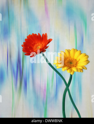 DIGITALE Kunst: Gerbera oder Barbeton Daisy (Lat: Gerbera Jamesonii) Stockfoto