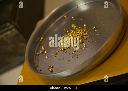 Weiß, gelb und rot gold entstehen durch das Mischen von bestimmten Metall-Legierungen wie Nickel und Kupfer Farbe erstellen. Stockfoto