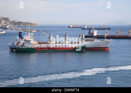 Riff-Schiff Mv Pacific Meerjungfrau und Bunkern Schiff Mv Pallas Herrlichkeit im Hafen von Gibraltar Stockfoto