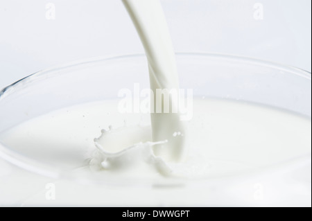 Milch in ein Glas gegossen Stockfoto