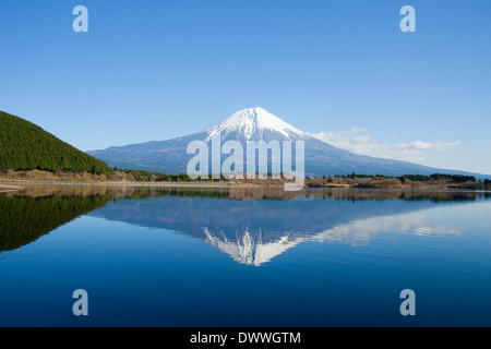 Mt. Fuji und See Tanuki, Shizuoka Präfektur, Japan Stockfoto