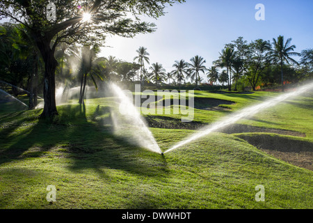 Bewässerung auf Makena Golfplatz in Wailea, Hawaii Stockfoto