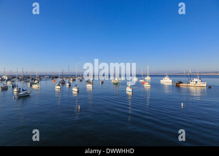 Monterey Bay Marina kommerzielle Fischerei und Freizeit Segelboote. Stockfoto