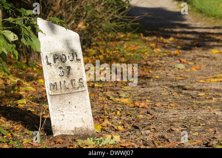 Die 37 Meile Meilenstein am Leeds-Liverpool-Kanal bei Aspull in der Nähe von Wigan. Stockfoto