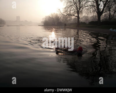 London, UK. 13. März 2014. Am frühen Morgen Sswimming im Serpentine Lake, Hyde Park, London.  Bei 9 Grad Celsius Wasser des Sees ist zu kalt für die meisten Schwimmer, aber Mitglieder der Serpentine Schwimmverein der Winterflugplanperiode geschwommen haben und sind auf der Suche nach vorne zum wärmeren Wetter. Obwohl ihre Außenpool mehr überfüllt werden, da die Temperatur erträglich zu eine größere Zahl von Menschen wird. Bildnachweis: Susanne Meister/Alamy Live-Nachrichten Stockfoto