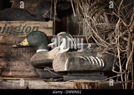 Ente-Köder im Hunting Lodge in Dougherty County, Georgia Stockfoto