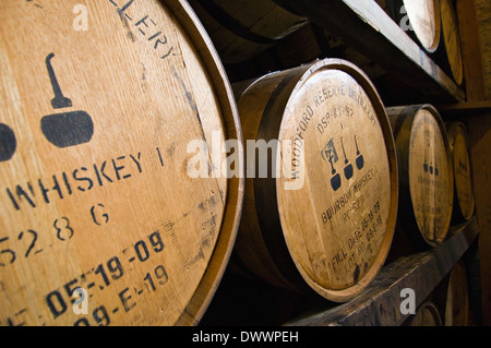 Barrel Bourbon Alterung in einem Rick Haus in Woodford Reserve Destillerie in Woodford County, Kentucky Stockfoto