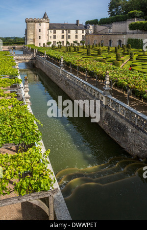 Das 16. Jahrhundert Schloss und Gärten von Villandry im Loire-Tal in Frankreich. Stockfoto