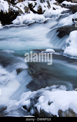 Schnee und Eis auf der Little Pigeon River im Nationalpark Great Smoky Mountains in Tennessee Stockfoto