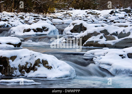 Schnee und Eis auf der Little Pigeon River im Nationalpark Great Smoky Mountains in Tennessee Stockfoto