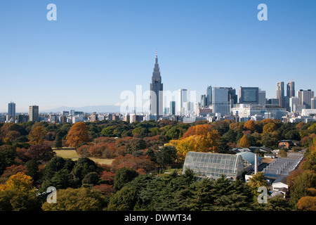 Shinjuku Gyōen Park im Herbst, Tokyo, Japan Stockfoto