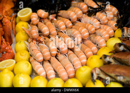 Raw Shell Frischfisch auf Eis auf einem Markt in Paris Stockfoto