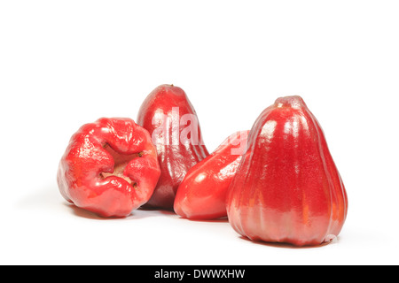 Rote Rose Apple isoliert auf weißem Hintergrund Stockfoto