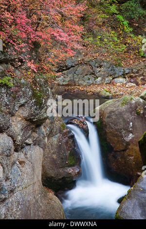 Fluss durch Masutomi Hot Springs, Yamanashi, Japan Stockfoto