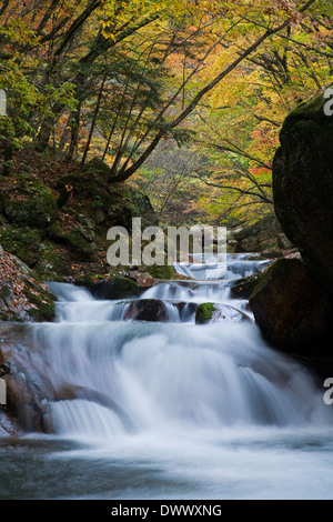 Fluss durch Masutomi Hot Springs, Yamanashi, Japan Stockfoto