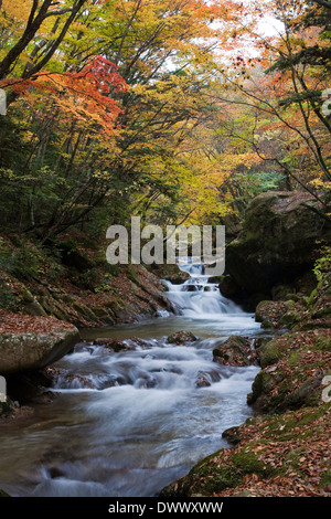 Fluss durch Masutomi Hot Springs, Yamanashi, Japan Stockfoto