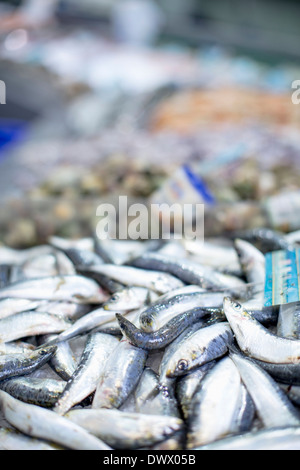 Haufen von Fisch im Markt angezeigt Stockfoto